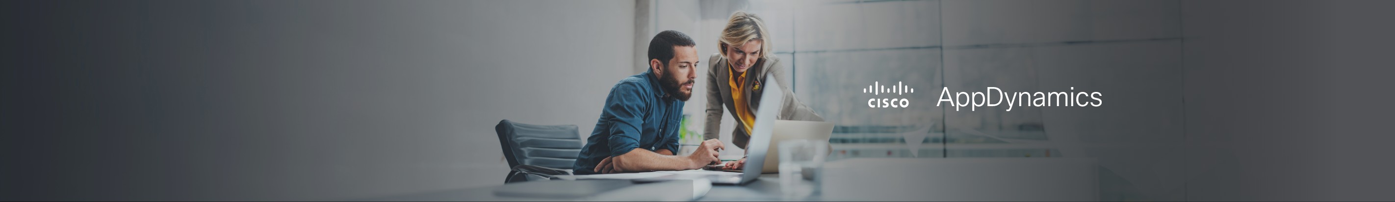 AppDynamics