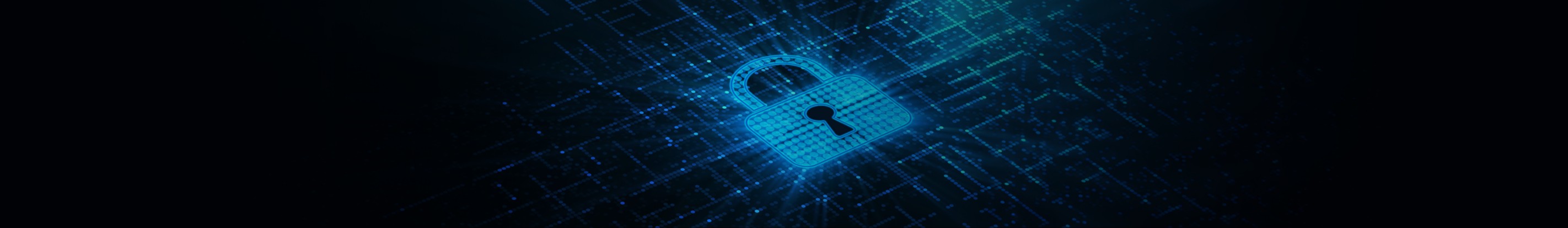 Data Security & Privacy