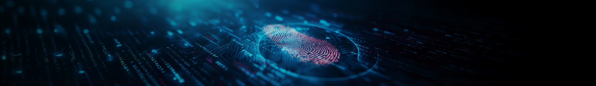 Identity & Access Management