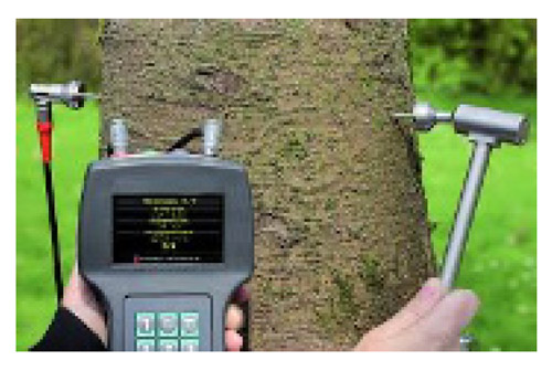 Automated Detection of Internal Decay in Wooden Utility Poles