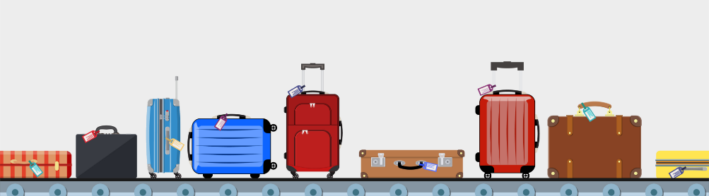 Crafting the Customer Baggage Journey 