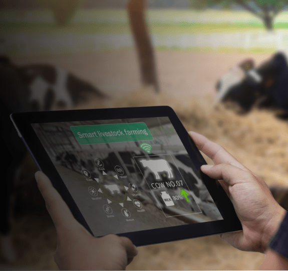 Adopting IoT Technologies to Rejuvenate Dairy Farming