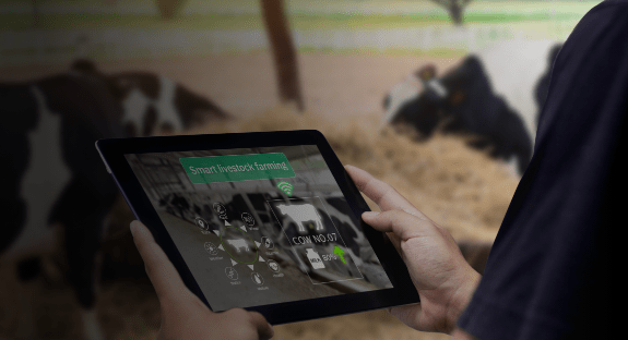 Adopting IoT Technologies to Rejuvenate Dairy Farming
