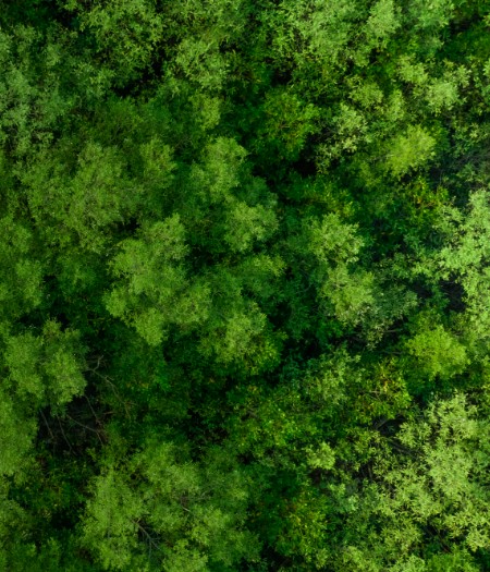 Business Sustainability