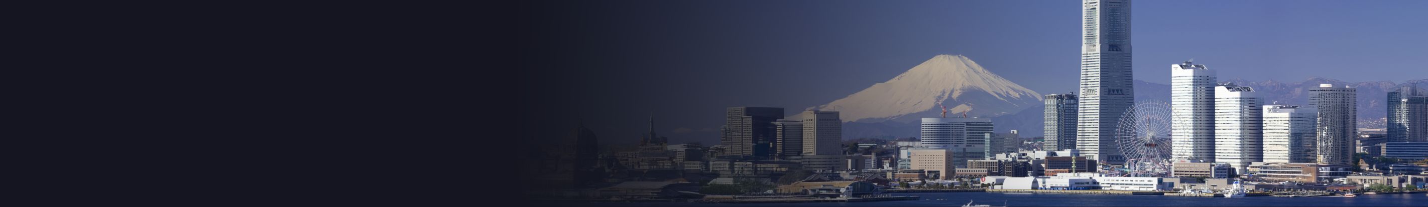 Leading Japanese Enterprises into the Digital Future